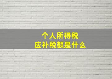 个人所得税 应补税额是什么